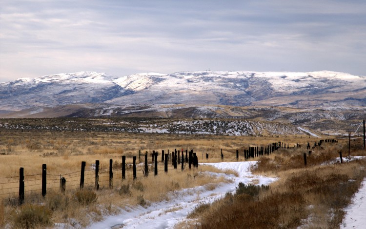 Nevada Snow Fence