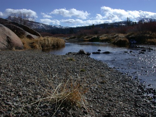 Hope Valley - Carson river tributary (I think)