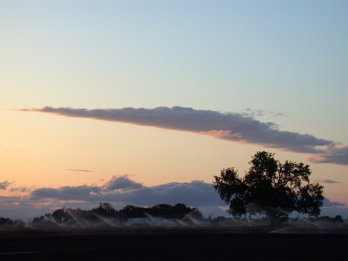 Central Valley Sprinklers