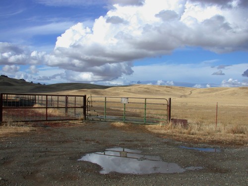 Road 25 Gate