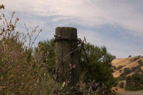 Napa Fence post