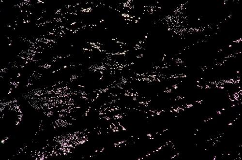 Black Water