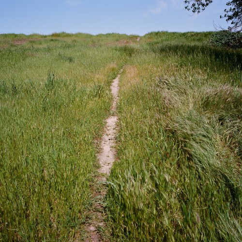 Cache Creek Nature Preserve