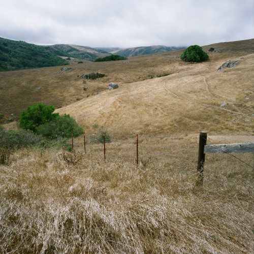 201009081358_15600010_WalkerCreekRanchHillside