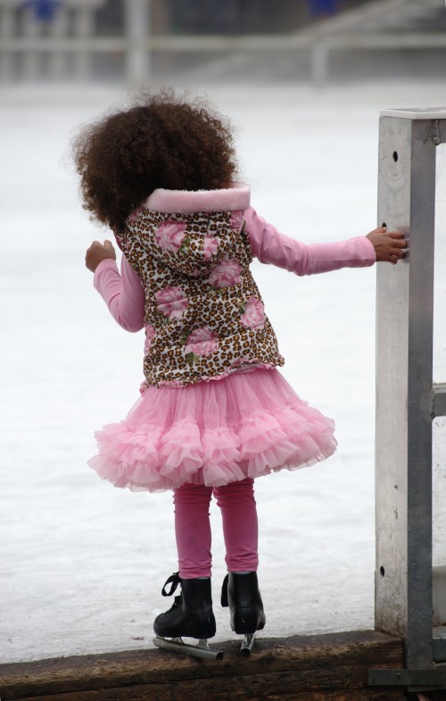 Ice Skater