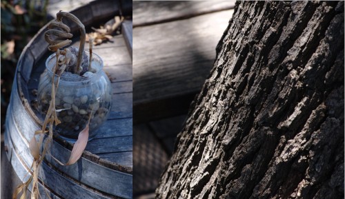 Winters Diptych