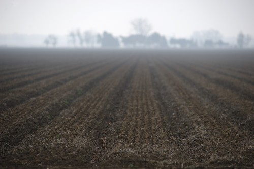 Foggy Day