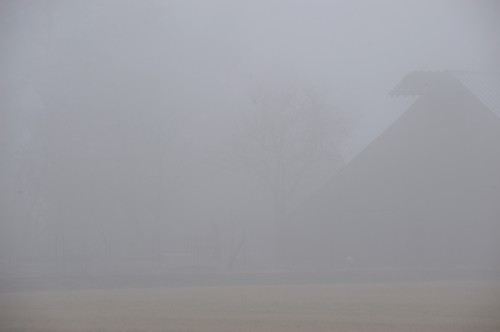 Foggy Barn