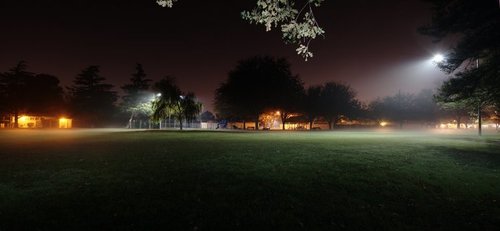 Foggy Night