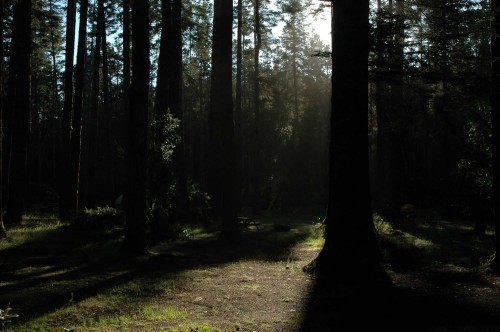 Fort Bragg Campground