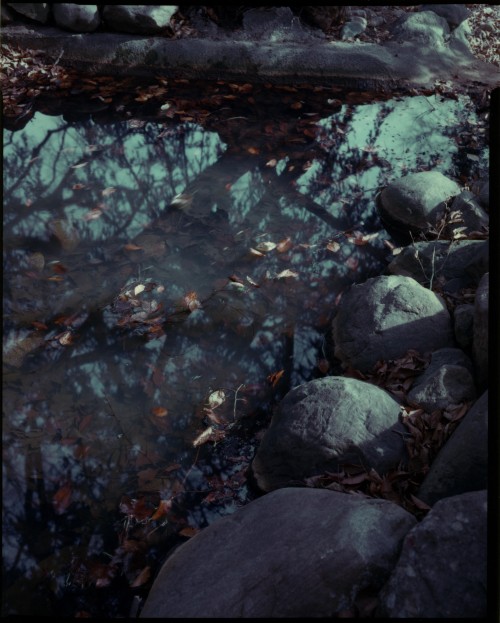 Fall Pond