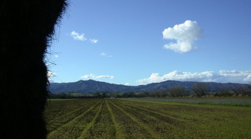 Hills and bales