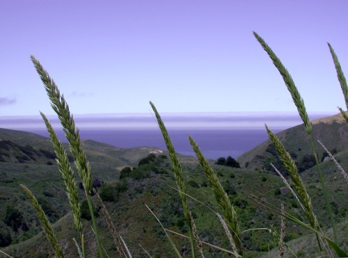 The Old Coast Road