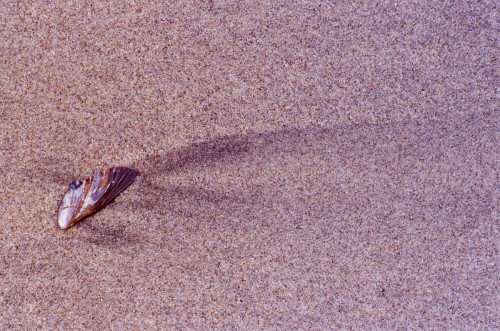 pfeiffer shell