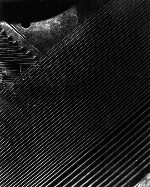 piano guts