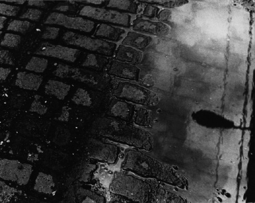 puddle