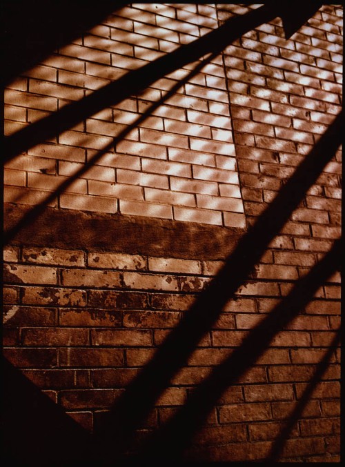 wall