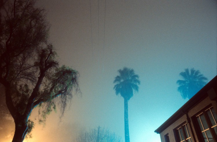 Woodtucky Night Fog